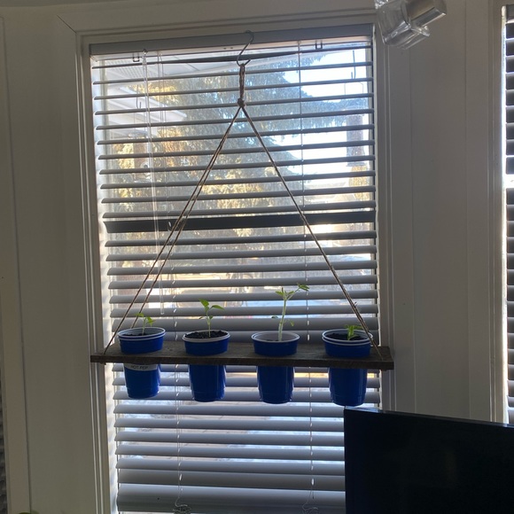 Herb/seedling starter shelf - Picture 3 of 4